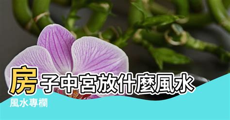 中宮 風水|風水教學：中宮位置風水用品擺放技巧【中宮位置怎麼擺放風水用。